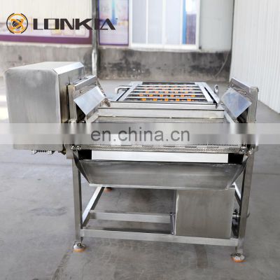 Great value fruit and vegetable bubble washing machine ginger processing machine