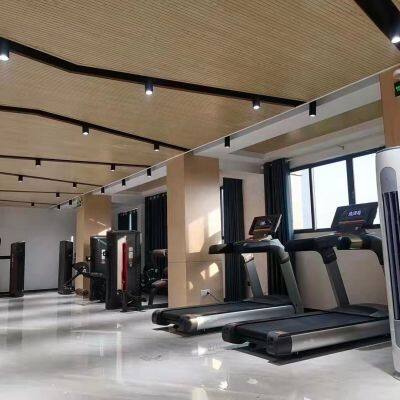 Good Price Professional Fitness Equipment Torso Rotation Twisting Waist Machine photo-4