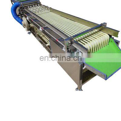 Factory Track Model Citrus Fruit Sorting Machine