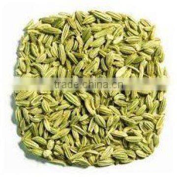 Fennel Seeds photo-3
