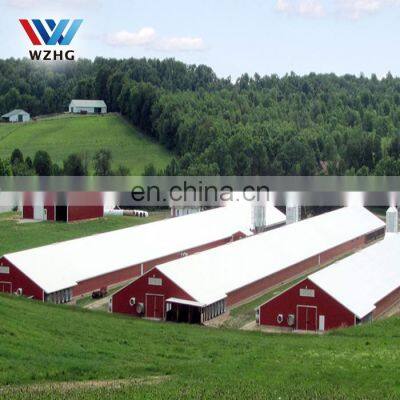 poultry farming chickens house for 10000 layers