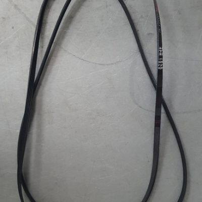 RIBBED BELT