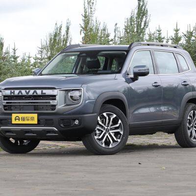 Haval Big Dog photo-2