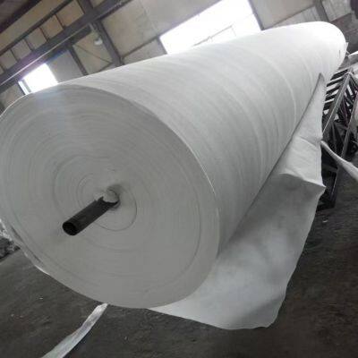 Non Woven Geotextile / PET PP Geotextile / Geotextile Price photo-5