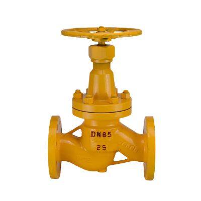 Manufacturer Direct Sales Cast Steel Globe Valve Flange Globe Valve