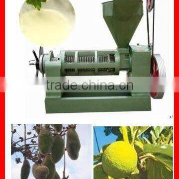 AA06 low noise baobab/grass seeds oil press machine--6YL-80