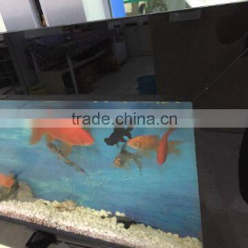 Wall Hanging Aquarium,Wall Monted Fish Tank