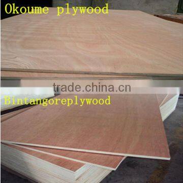 Plywood Face 0.22-0.35mm Door Size Bintangor Veneer photo-5