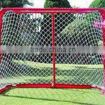 PP Hocky Net