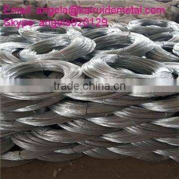 Galvanized Iron Wire Electro Galvanized Iron Wire photo-2