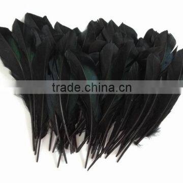 Duck feather wholesale