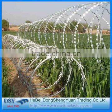 Alibaba China Trade Assurance CBT-65 Razor barbed wire price with pallet