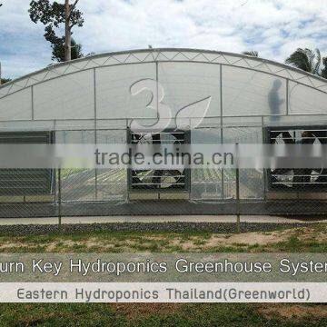 Greenhouse