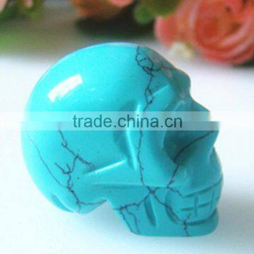 Skull Model Human for Sale photo-2