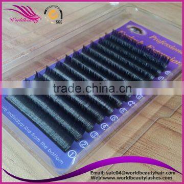 New Product for Elliptical Eyelash Extension With Top Quality photo-2