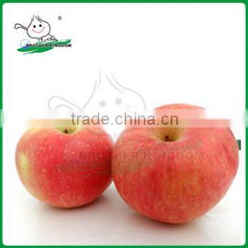 New Crop Red Gala Apple/Chinese apple fruit/Gala from China