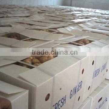 Premiun&selected Ginger