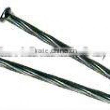 20 years own factory of screw nail for exporting