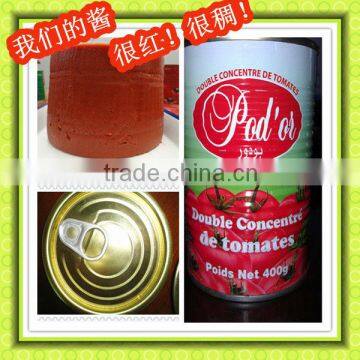 Tomato Paste hot salling 800g x12tins [ factory]