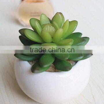 Wholesale Artificial Mini Succulent Flower Plants, Mini Flower Bonsai photo-6