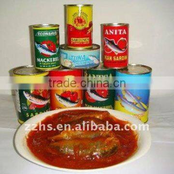 Canned Sardine Fish