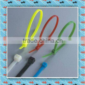 2012 New Plastic security cable tie with label