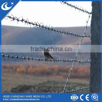 High quality hot-dipped galvanized barbed wire for frontier protection