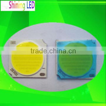 High Quality 1919 10W COB LED Chip for Ceiling Light