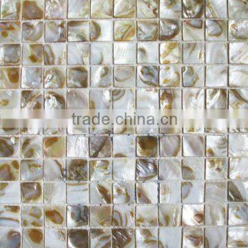 Natural shell made mosaic tile (JLM08123)