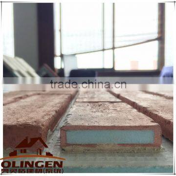 Anti Acid Cement Tiles Wall Bricks