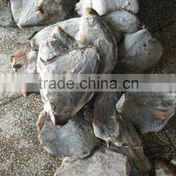 Frozen Black Moon Fish Whole Round or HGT photo-3