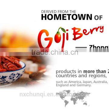 Ningxia Gojiberry from Zhongning Hometwon