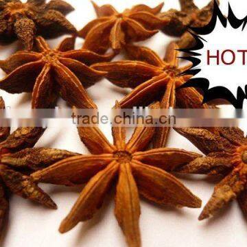 No Stem Well Dried Star Aniseeds