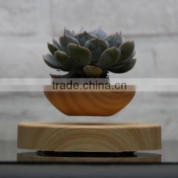 levitating pots for air bonsai fly plant pots