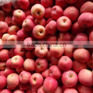 Fresh Apple,fuji Apple,apple