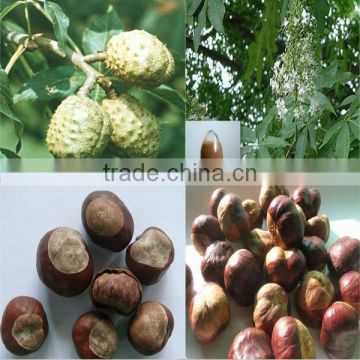 KOSHER&NATURAL Manufacturer supply horse chestnut extract powder