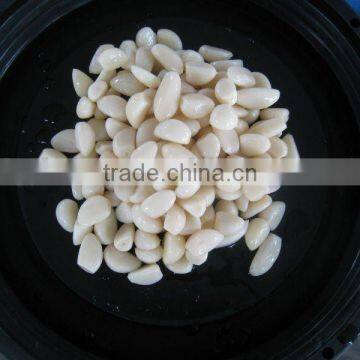 Garlic Cloves Salted Garlic Clove