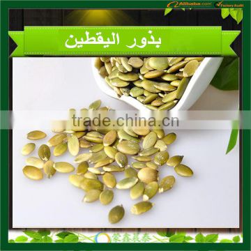 Pumpkin Kernels High Quality Pumpkin Seeds without shell, Pumpkin kernels GRADE AA