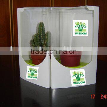 Gift Mini Bonsai/bonsai