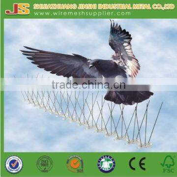 Plastic Control bird spike