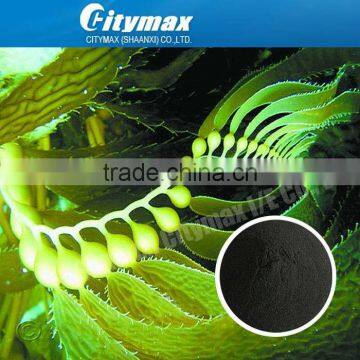 Organic fertilizer seaweed