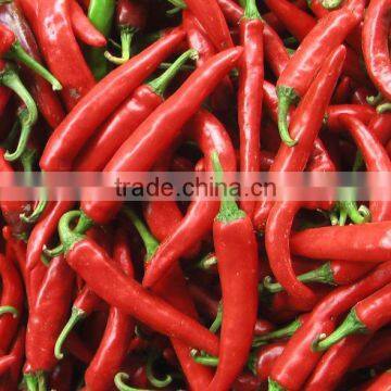 FRESH/DRIED CHILI 2016 CROP (trangnt@kego.com.vn