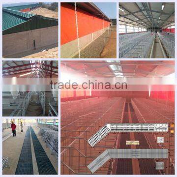 Pig Farming Equipment for Piglets photo-5