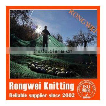 Agricultural and Horticultural Products PE Plastic Olive Net