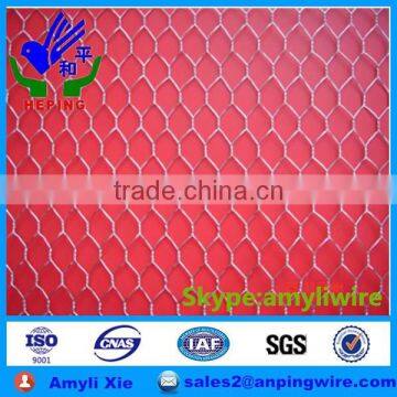 chicken wire netting / hexagonal wire netting for poultry mesh