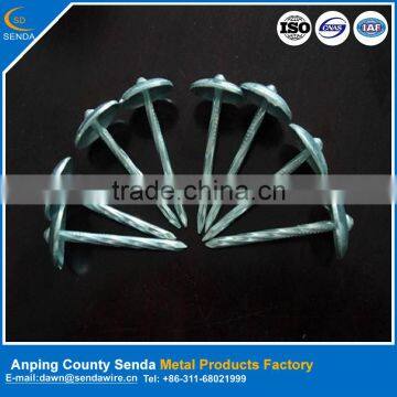 umbrella head nails from Anping / corrugated roofing nails