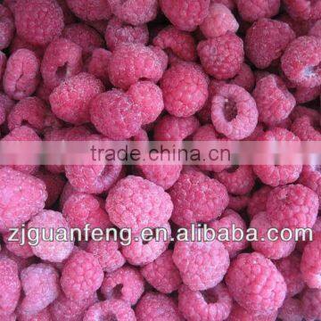 Iqf Tunnel Freezer Potato Chips Machine Blast Freezer photo-6