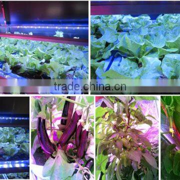 MarsHydro Waterproof ETL Certificated Led 60 Cm/120 cm Grow Bar photo-3