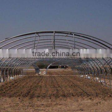 Vegetable Tunnel Greenhouses For Sale