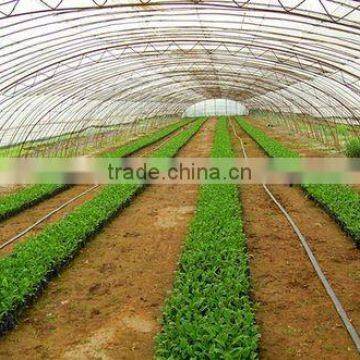 China Supplier Tomato Plastic High Tunnel Greenhouse photo-2